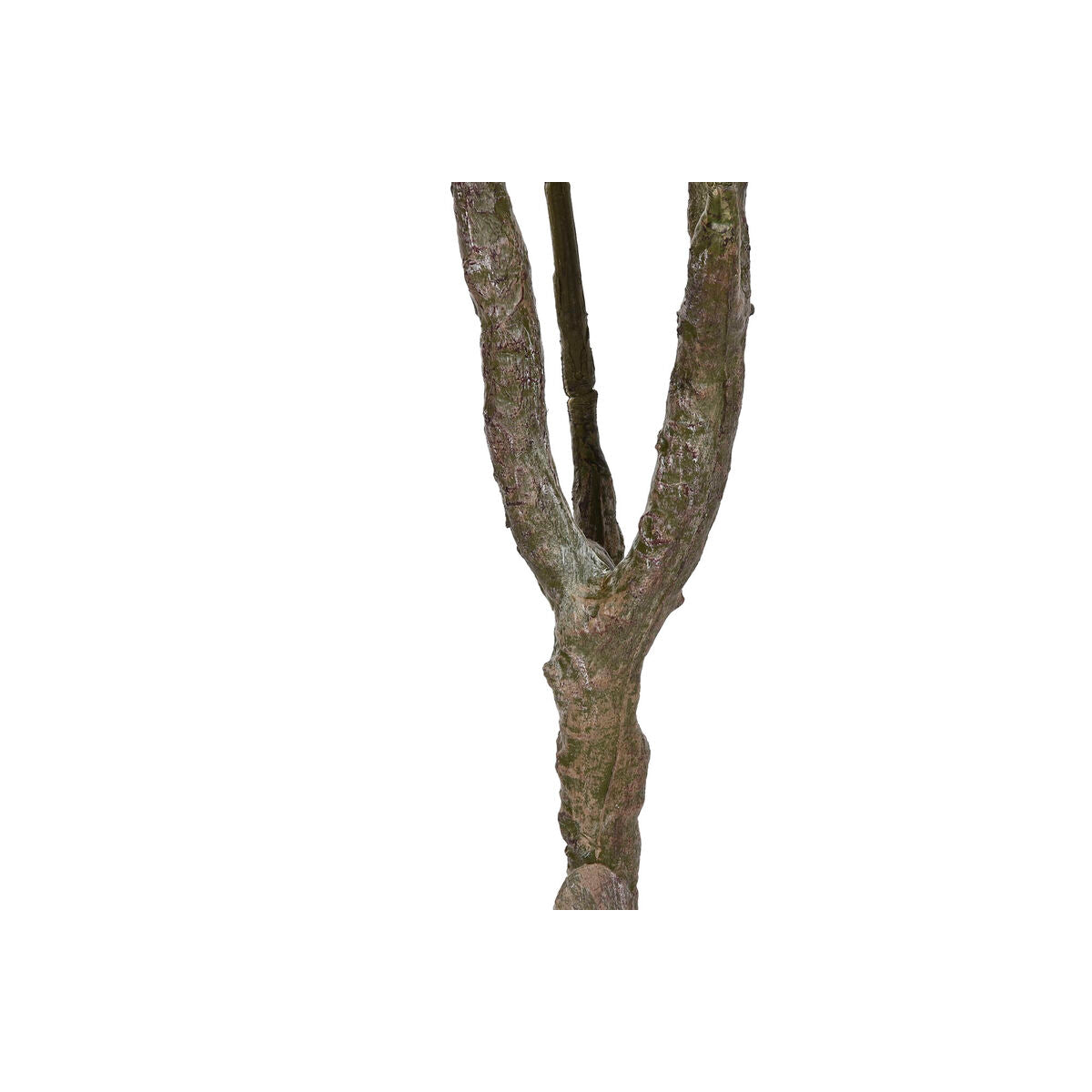 V3H41ABFAE52A3AE3DF66EA4A192D86EAE5R5676126P3