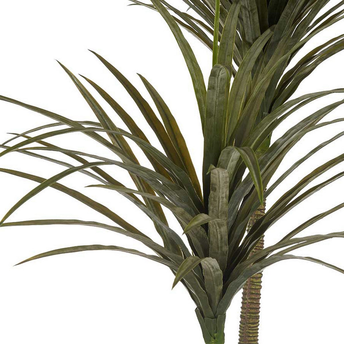 V15H7C87A37F94454BCCF8C793C2FE14B5C7R7120408P2