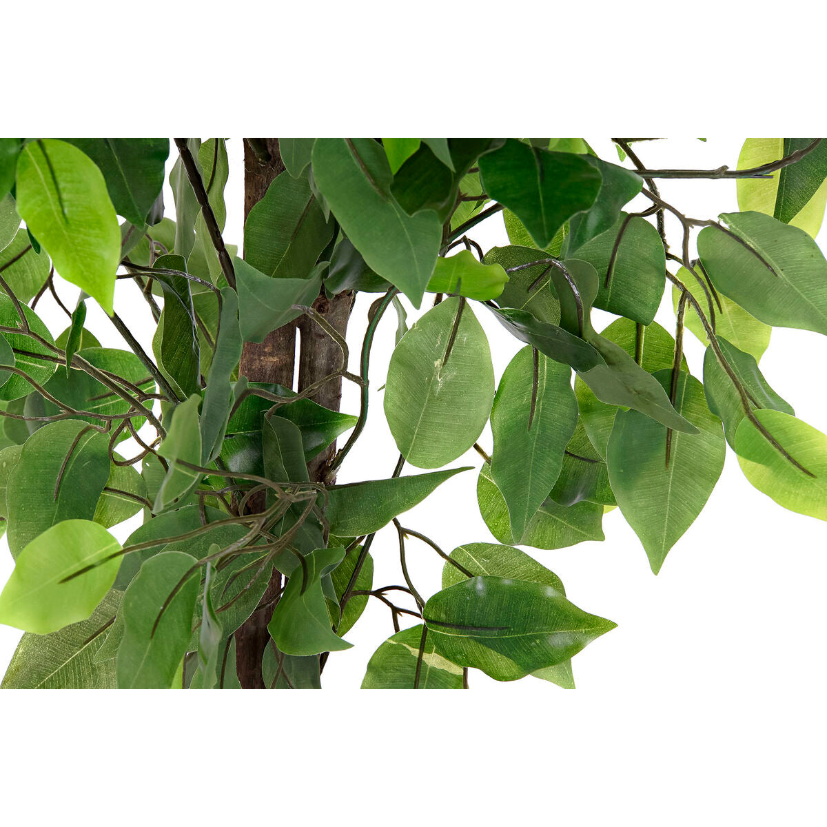 V10H2344898DFD934081EA5ABE93B41DBAD4R6709389P2