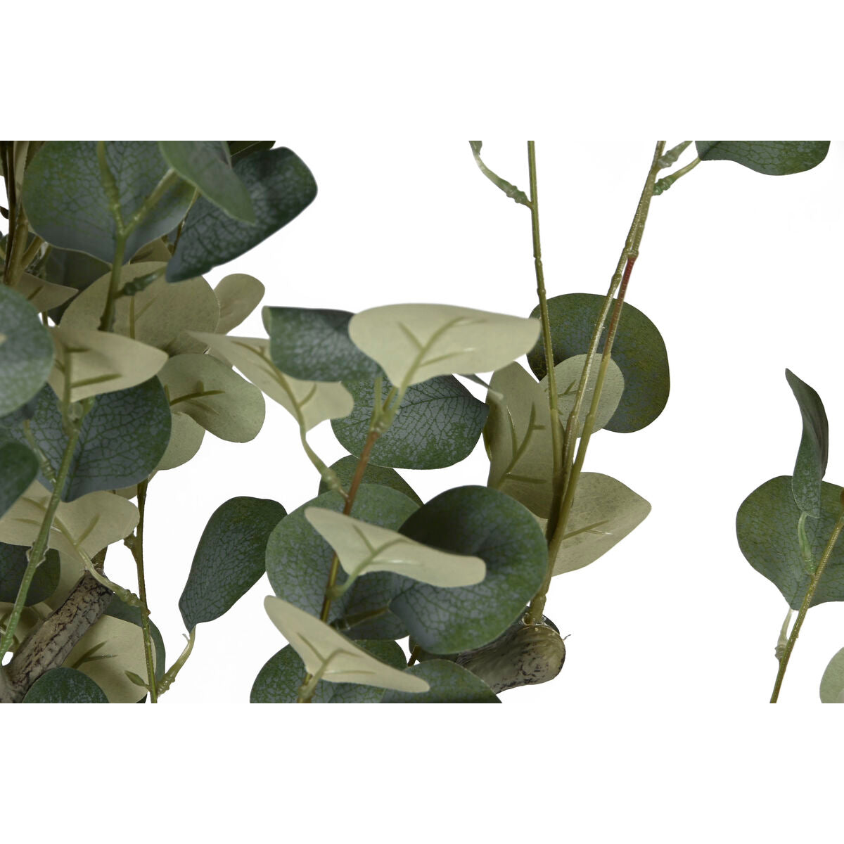 V8H535DC12B0796A515D673EDF556100D29R3881954P2