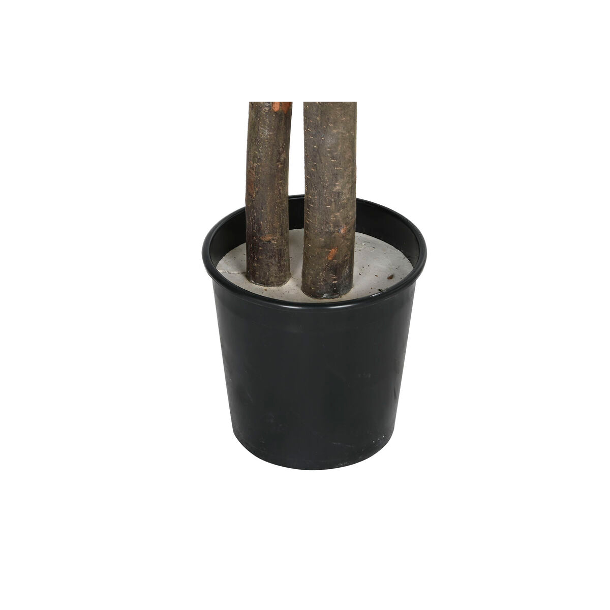 V11H60F8A9BB69988747F5E87C145980A4D6R6381729P4