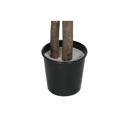 V11H60F8A9BB69988747F5E87C145980A4D6R6381729P4