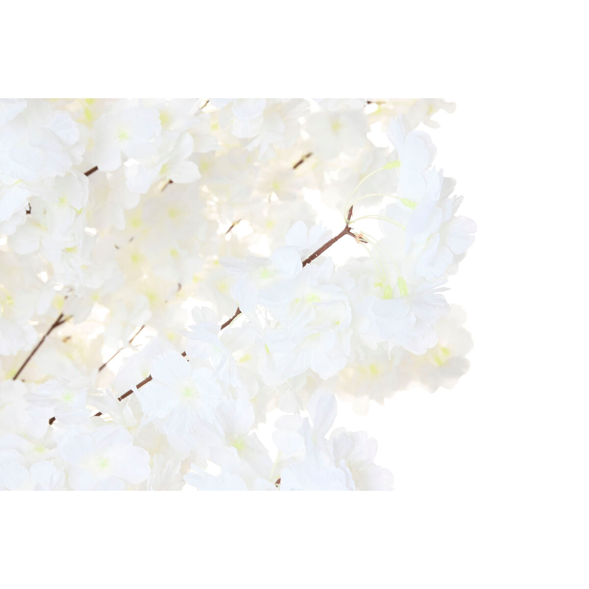 V4H501AD37C4A944C528510F82786A4BC56R7255329P2