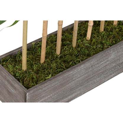 V4HE1E906FEB9C0809CE4180B2D805CA7F7R7521818P4