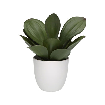 V2H6929714C8E0F40EDA7BE893C070A96AAR6831691P2