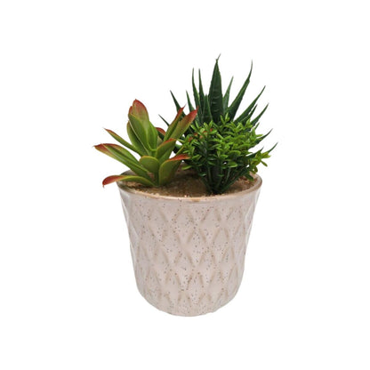 V4HDC1ECF4FE100B963B344BE3A88EA6D05R6831696P2