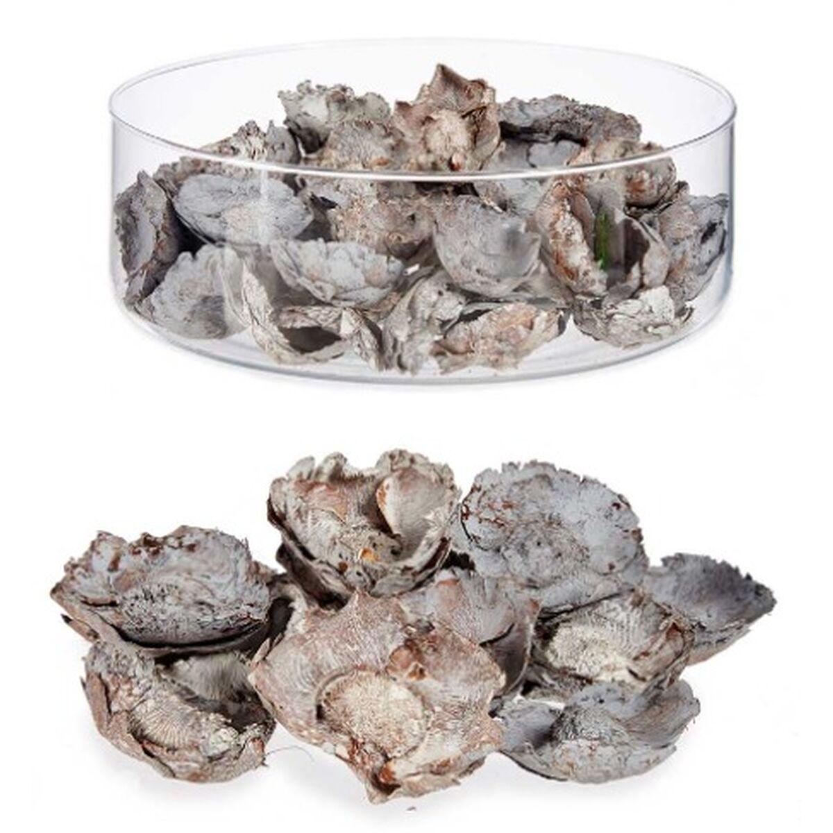 V10HB881BA24FF23FC1B497861117249CAD0R7264622P2