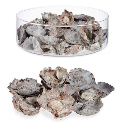 V10HB881BA24FF23FC1B497861117249CAD0R7264622P2